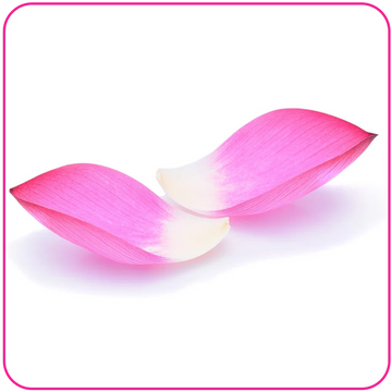 Pookie – pleasure essentials for modern lifestyles